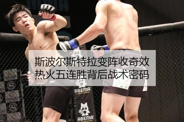 si-bo-er-si-te-la-bian-zhen-shou-qi-xiao-re-huo-wu-lian-sheng-bei-hou-zhan-shu-mi-ma-2-653.jpg